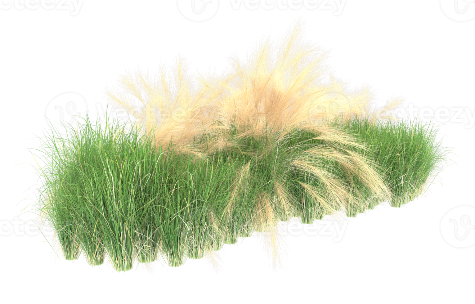 Realistic foliage isolated on transparent background. 3d rendering - illustration png