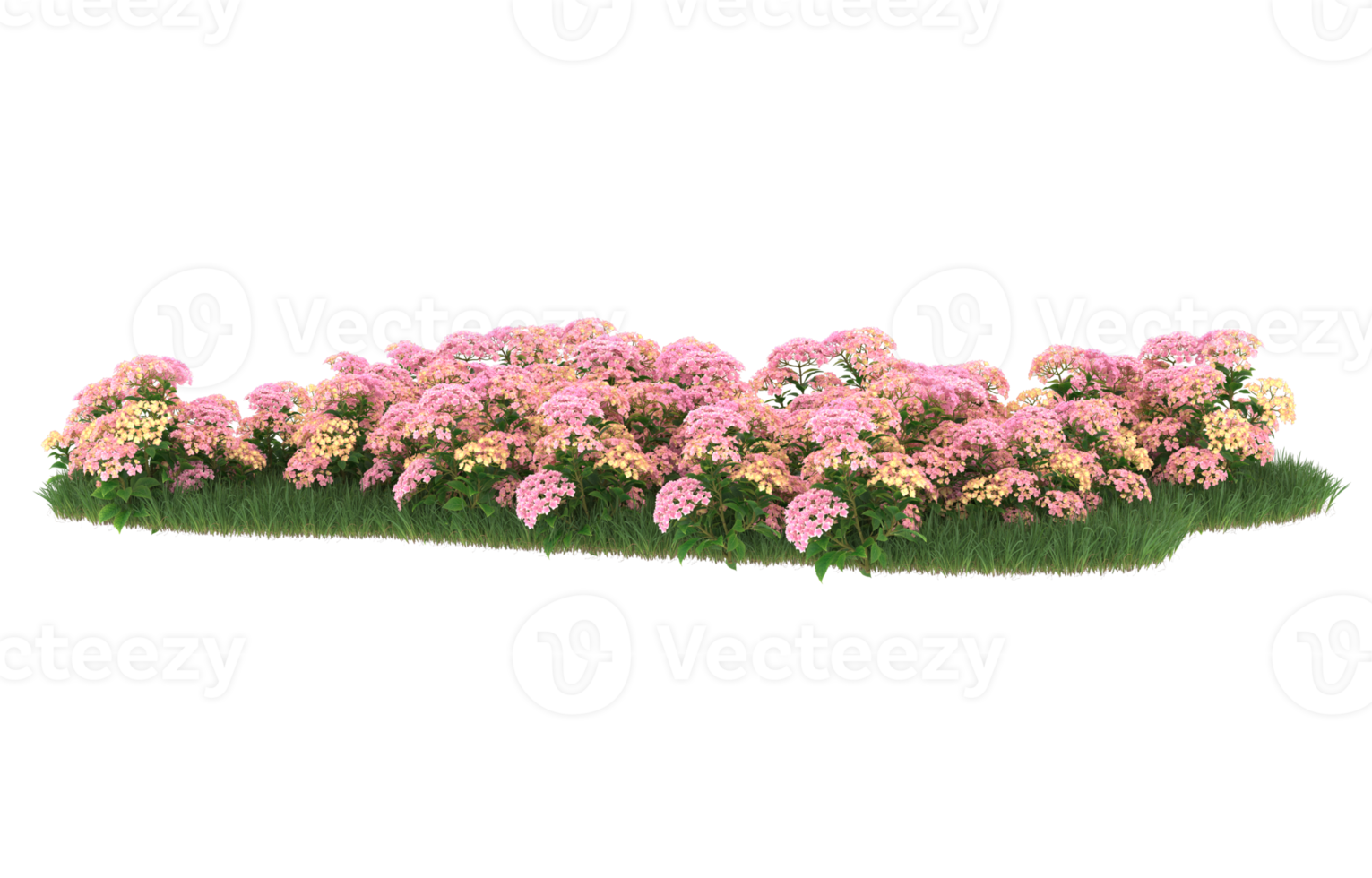 Realistic foliage isolated on transparent background. 3d rendering - illustration png