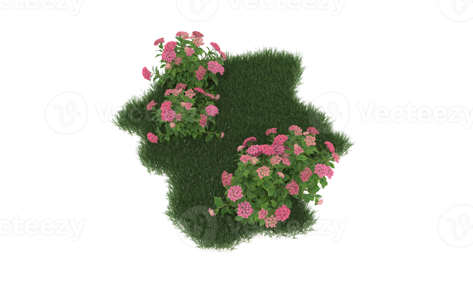 Realistic foliage isolated on transparent background. 3d rendering - illustration png