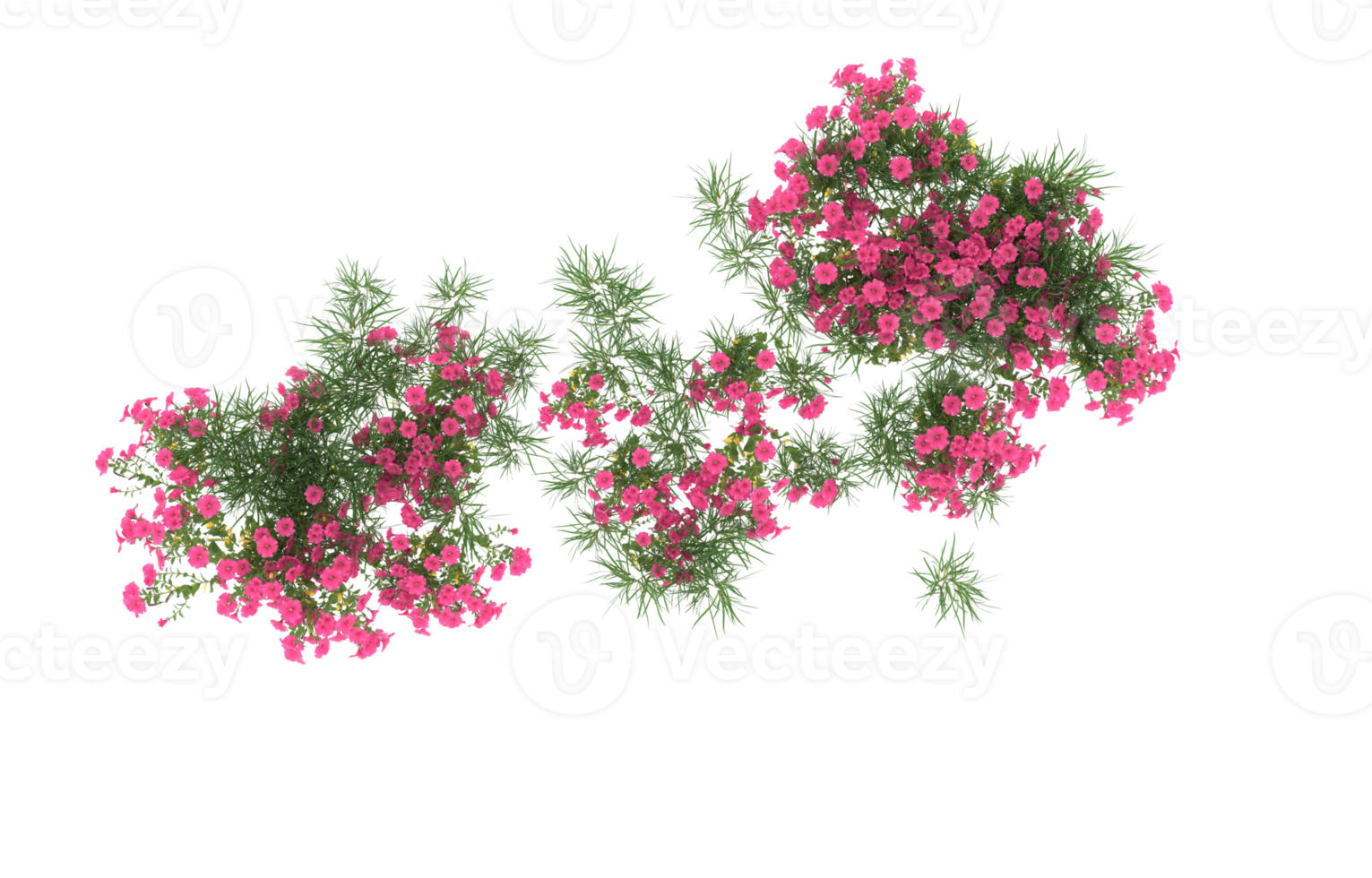 realistisk lövverk isolerat på transparent bakgrund. 3d tolkning - illustration png