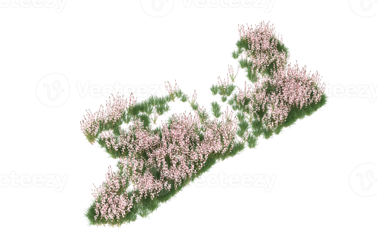 Realistic foliage isolated on transparent background. 3d rendering - illustration png