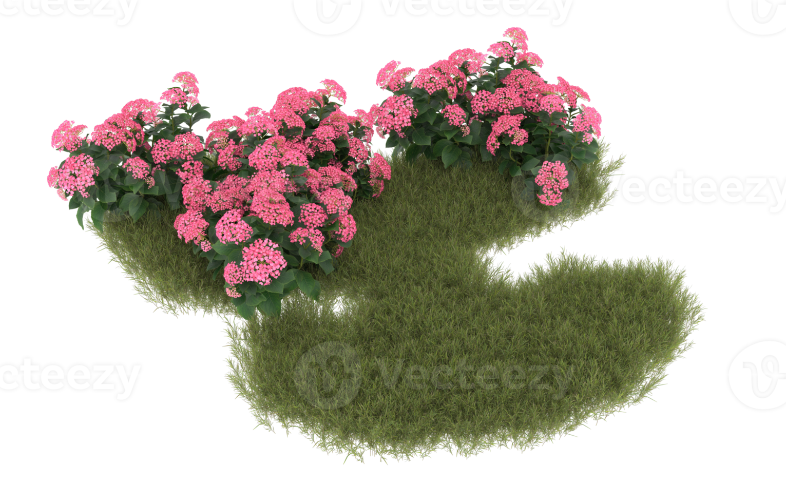 Realistic foliage isolated on transparent background. 3d rendering - illustration png