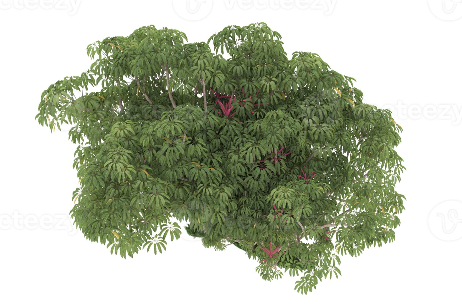 Realistic forest isolated on transparent background. 3d rendering - illustration png