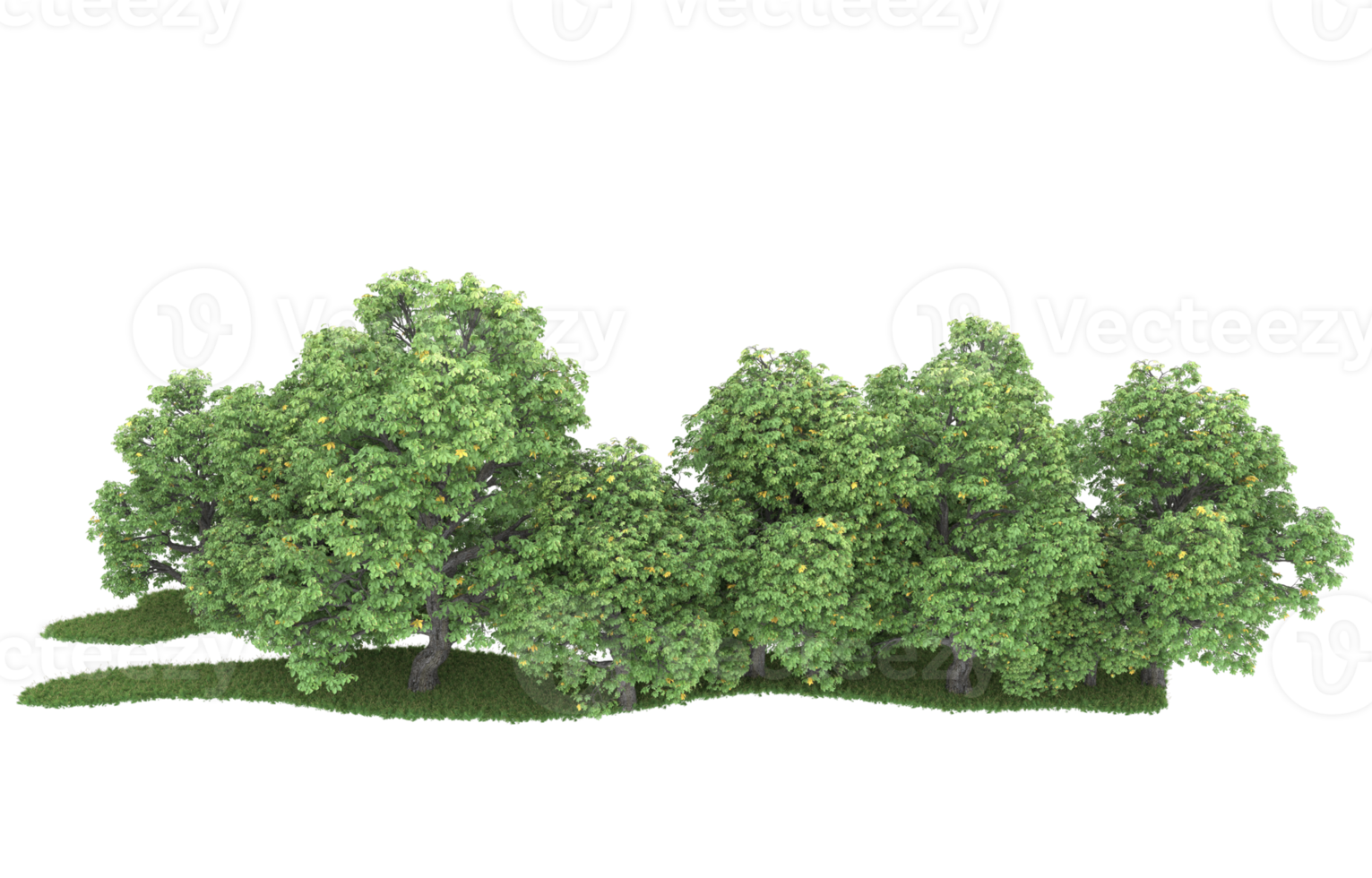Realistic foliage isolated on transparent background. 3d rendering - illustration png
