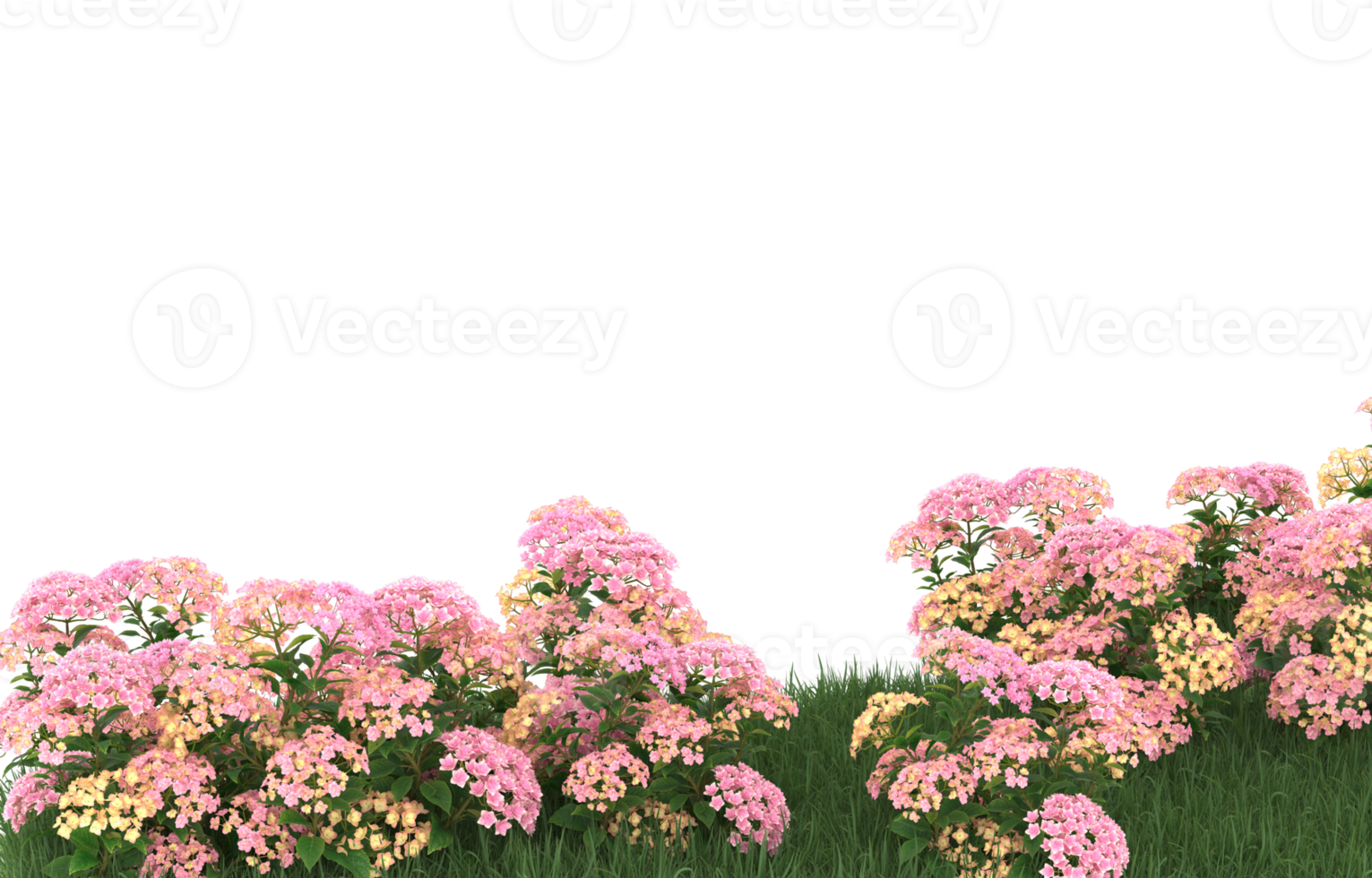 Realistic foliage isolated on transparent background. 3d rendering - illustration png