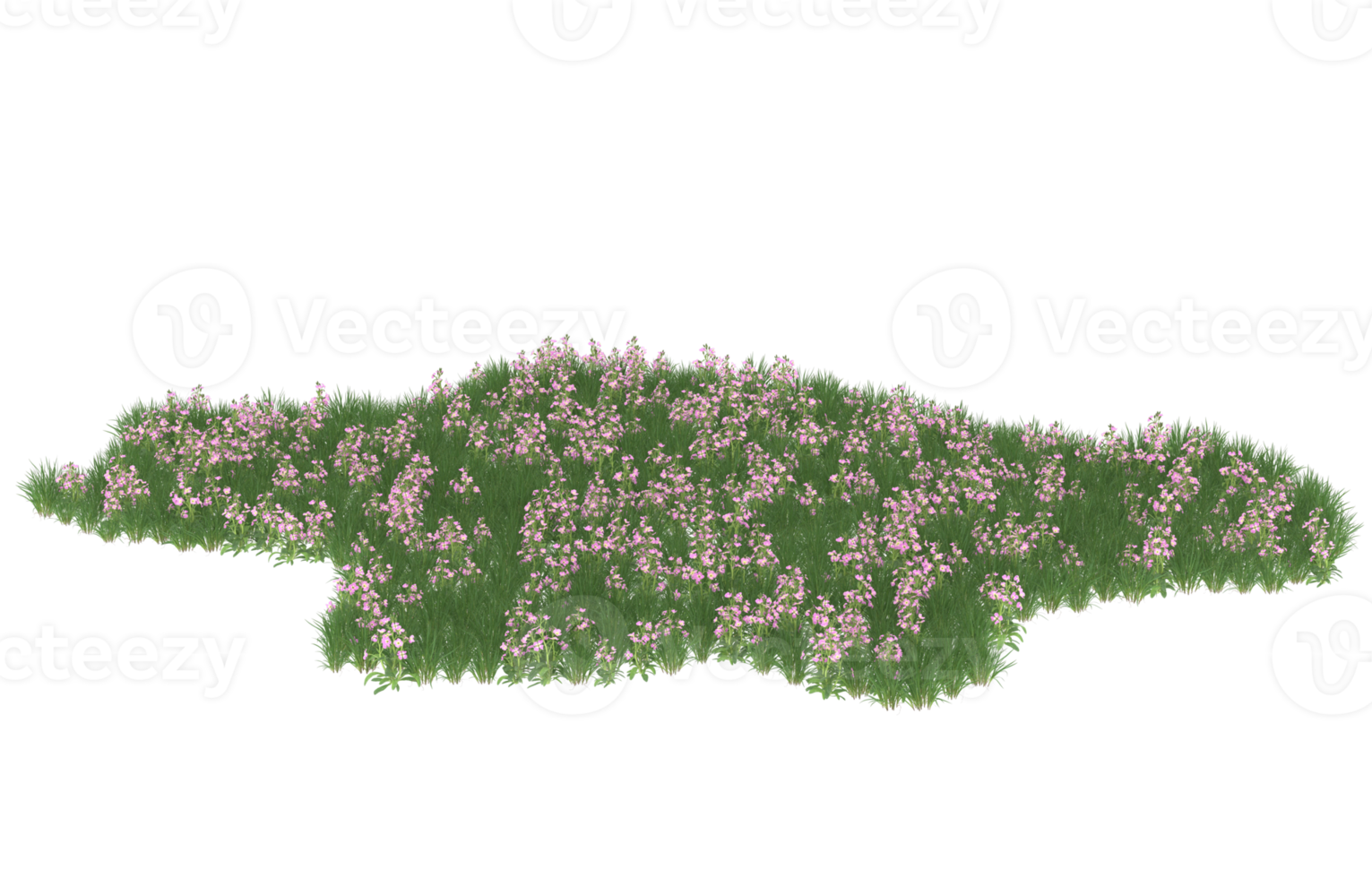 Realistic foliage isolated on transparent background. 3d rendering - illustration png