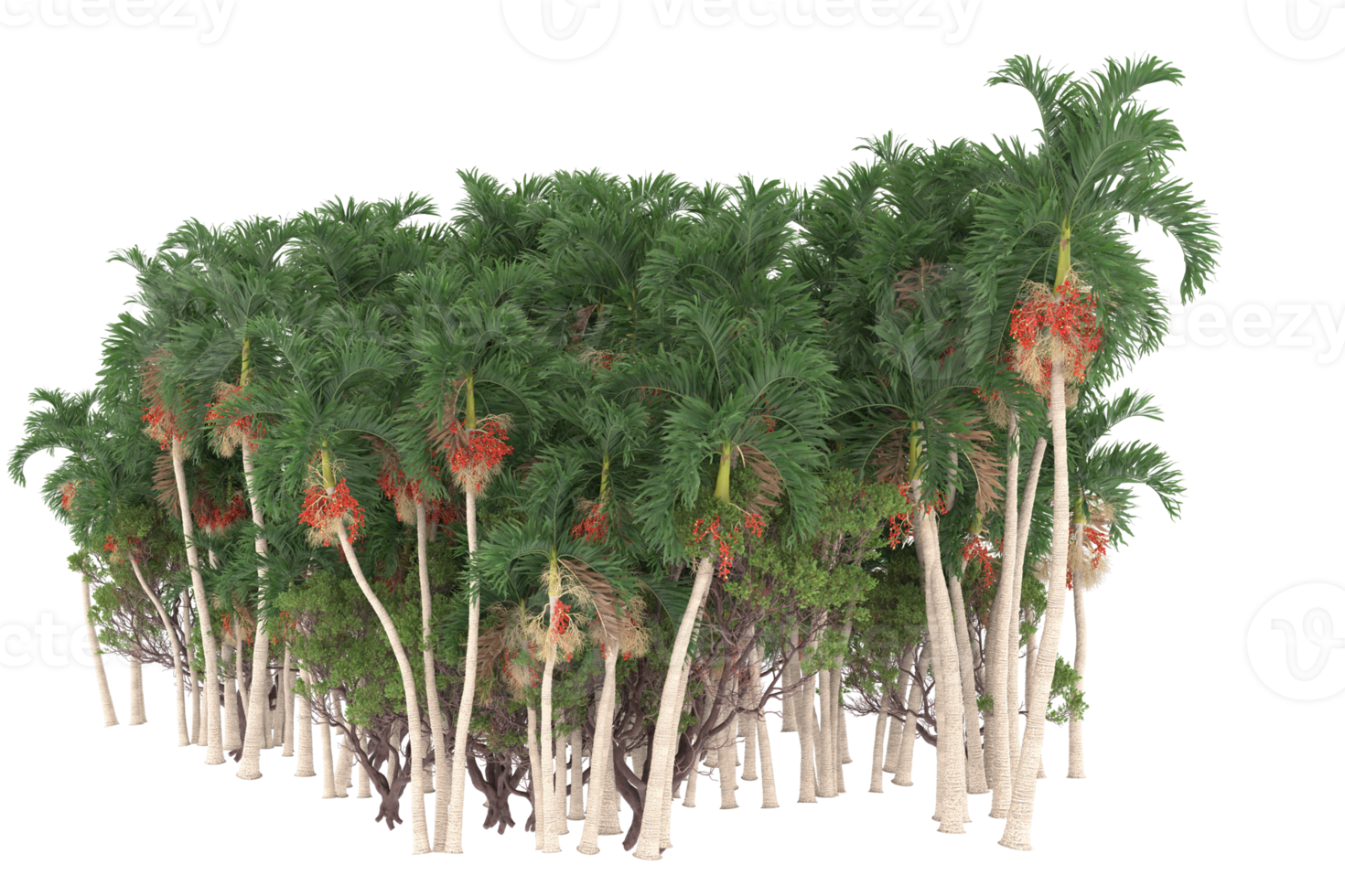Palm trees isolated on transparent background. 3d rendering - illustration png