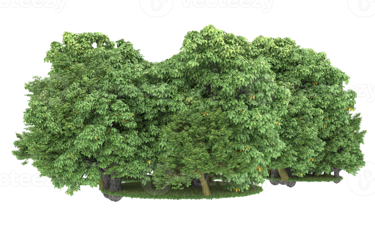Realistic forest isolated on transparent background. 3d rendering - illustration png