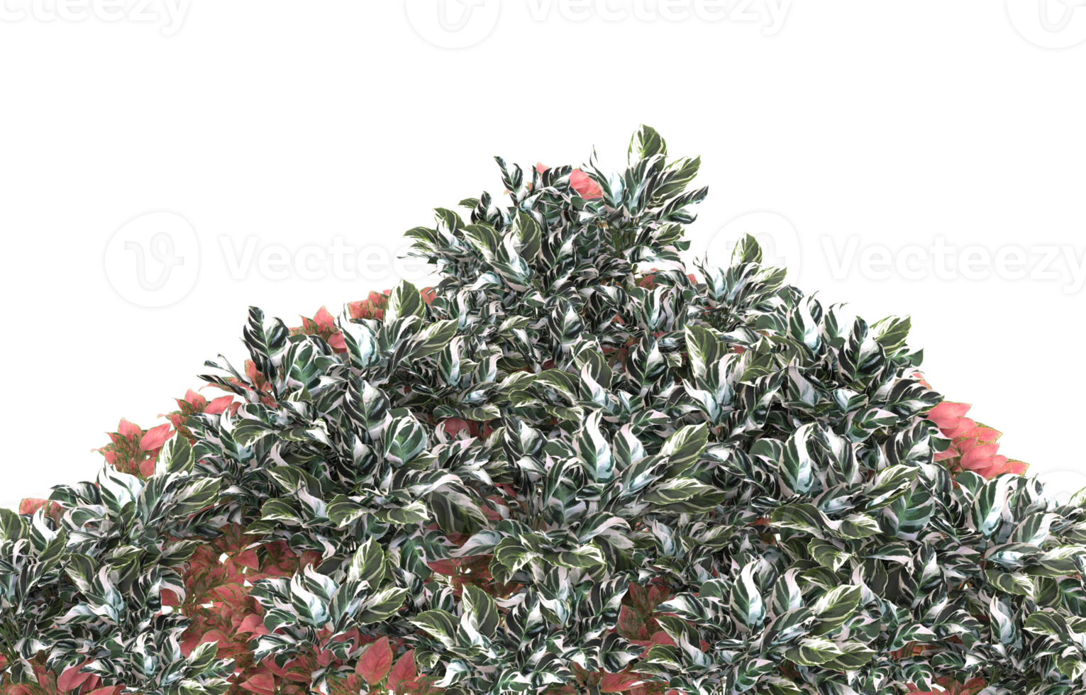 Realistic foliage isolated on transparent background. 3d rendering - illustration png
