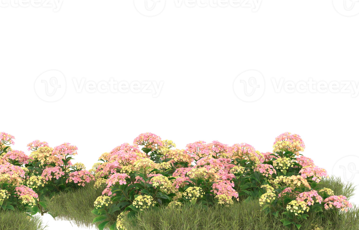 Realistic foliage isolated on transparent background. 3d rendering - illustration png