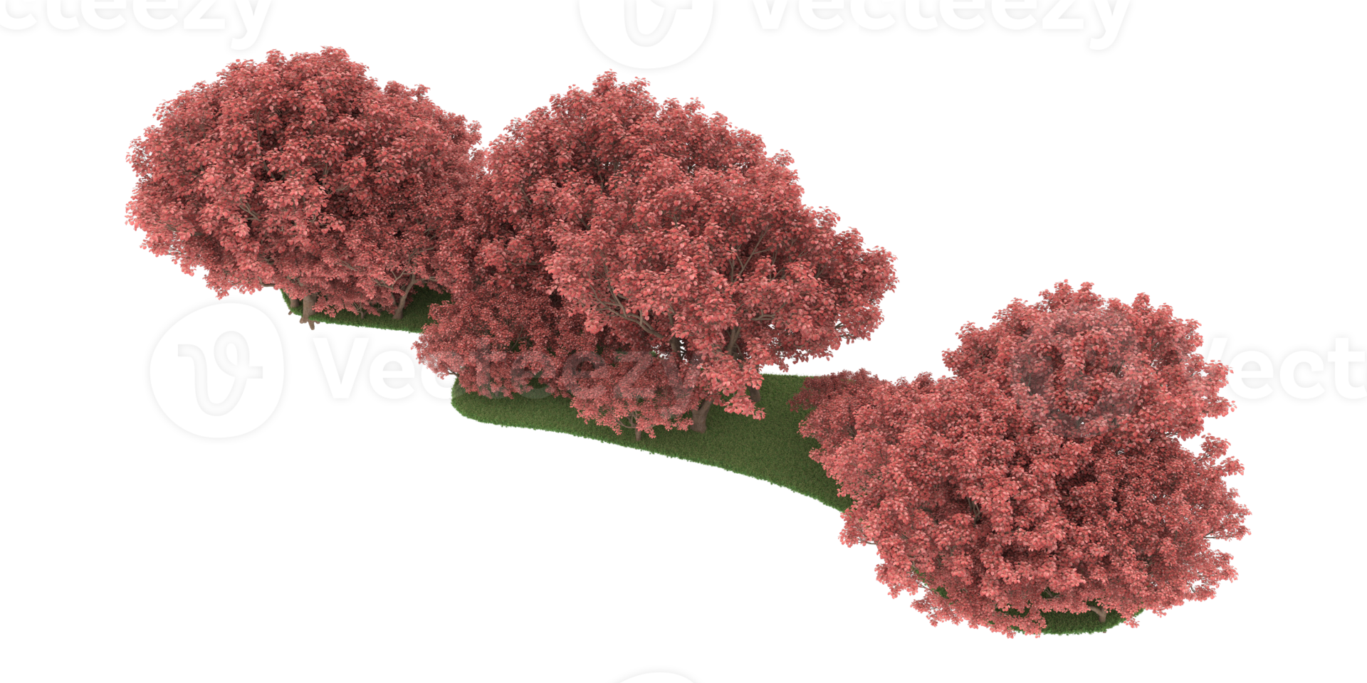 Realistic forest isolated on transparent background. 3d rendering - illustration png