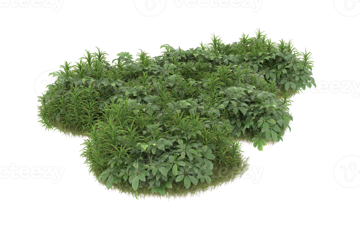Realistic foliage isolated on transparent background. 3d rendering - illustration png