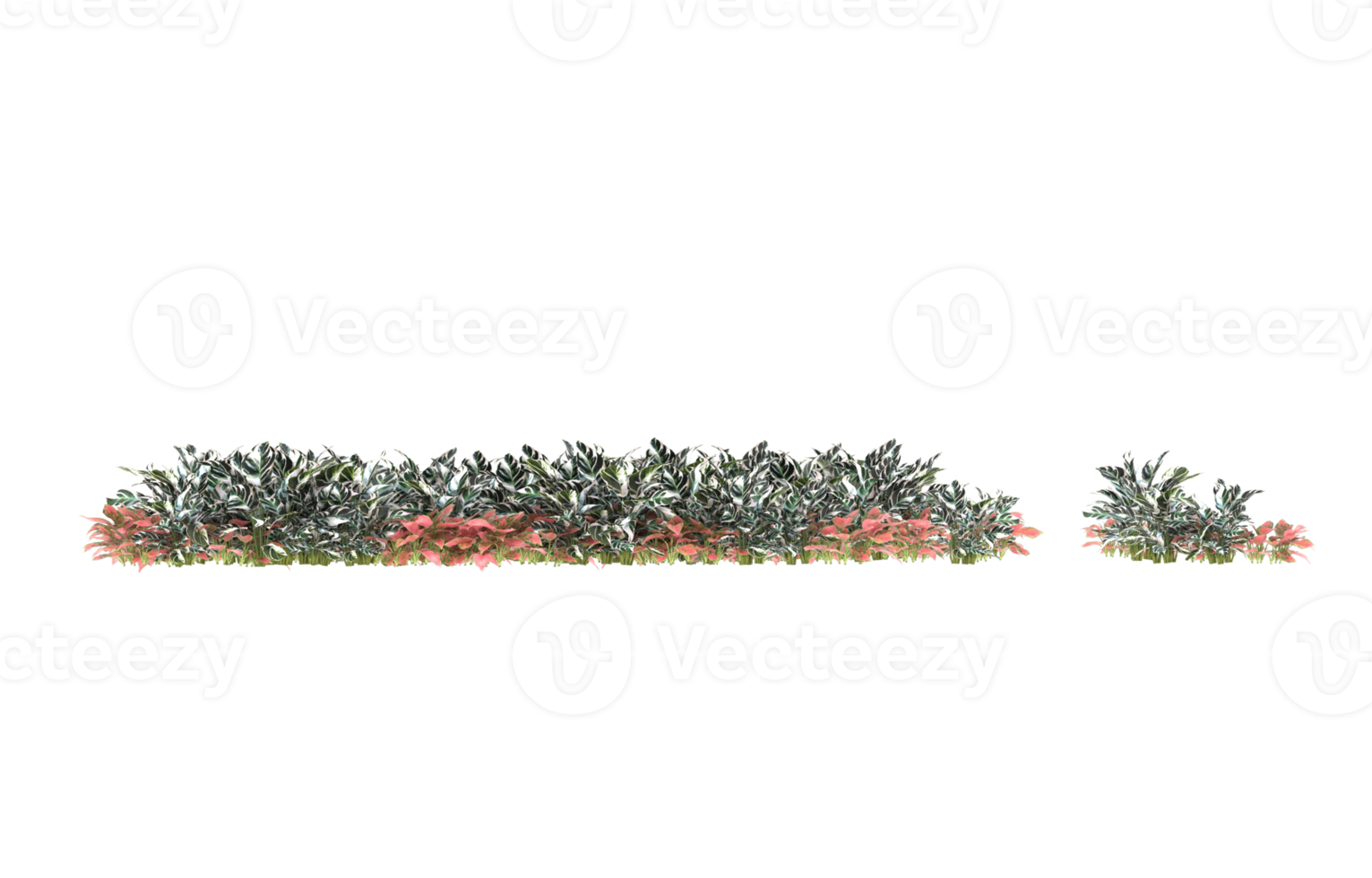 realistisk lövverk isolerat på transparent bakgrund. 3d tolkning - illustration png