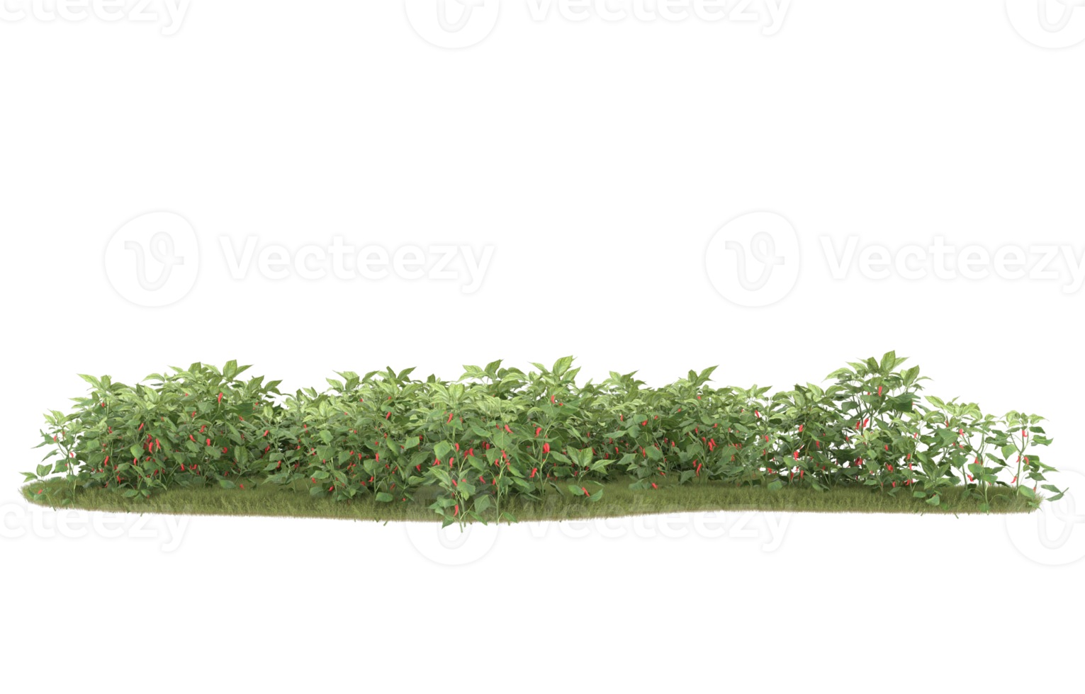 Realistic foliage isolated on transparent background. 3d rendering - illustration png
