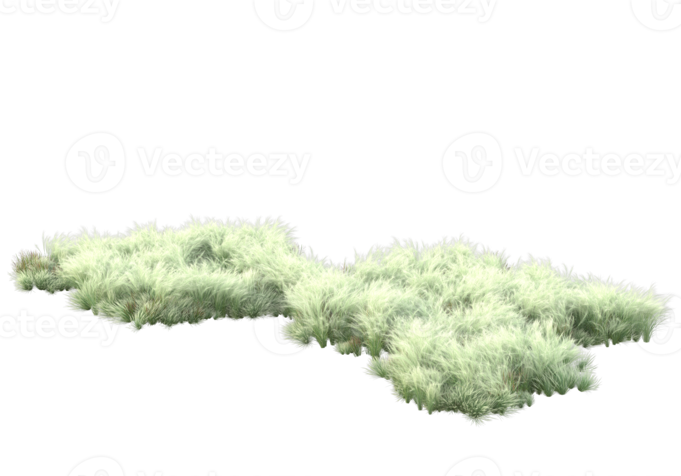 Realistic foliage isolated on transparent background. 3d rendering - illustration png