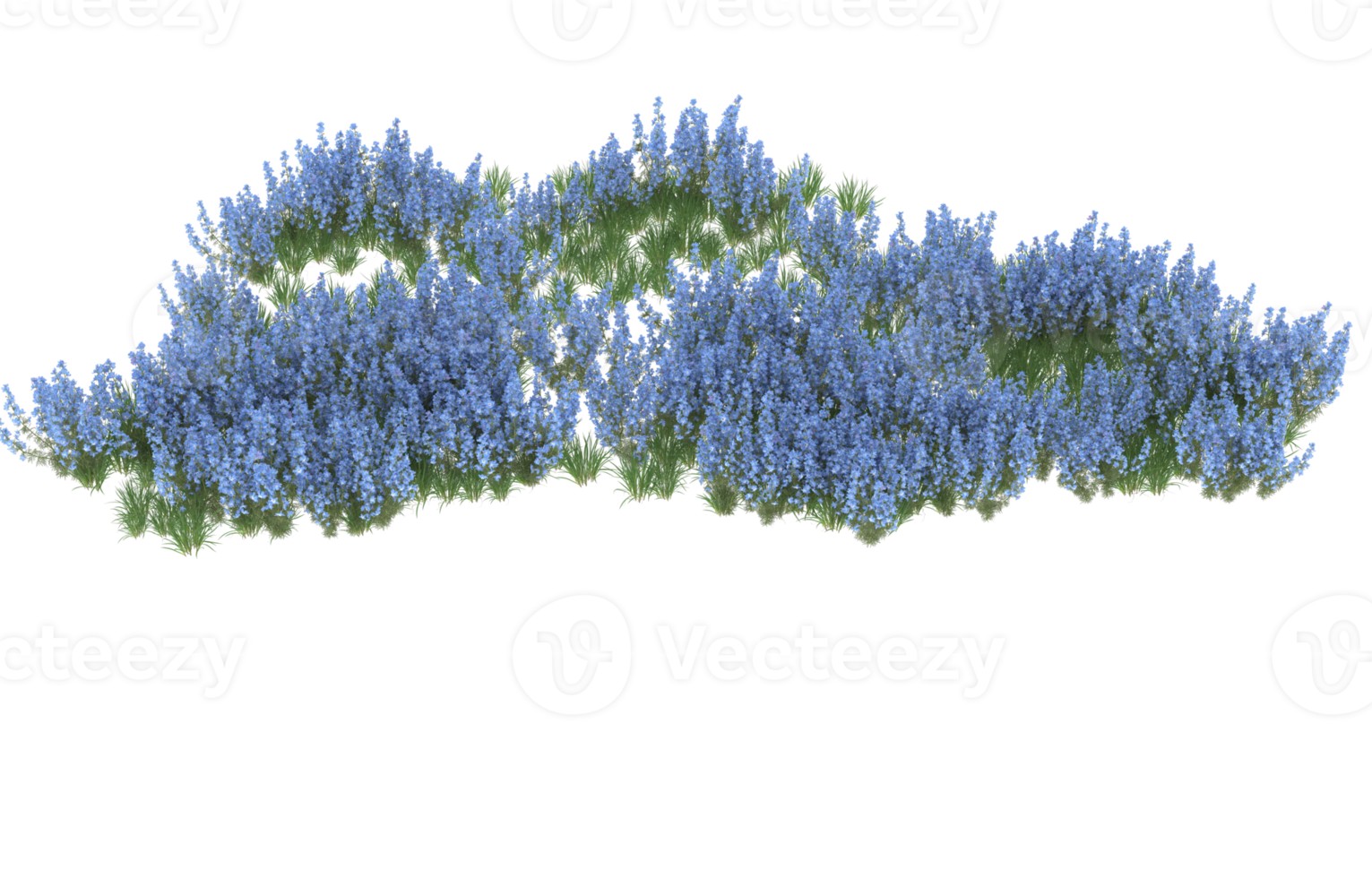 Realistic foliage isolated on transparent background. 3d rendering - illustration png