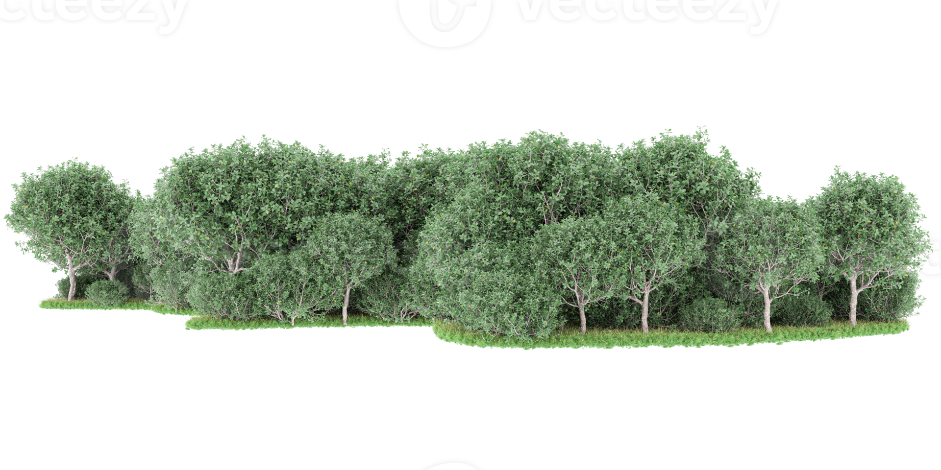 Realistic forest isolated on transparent background. 3d rendering - illustration png