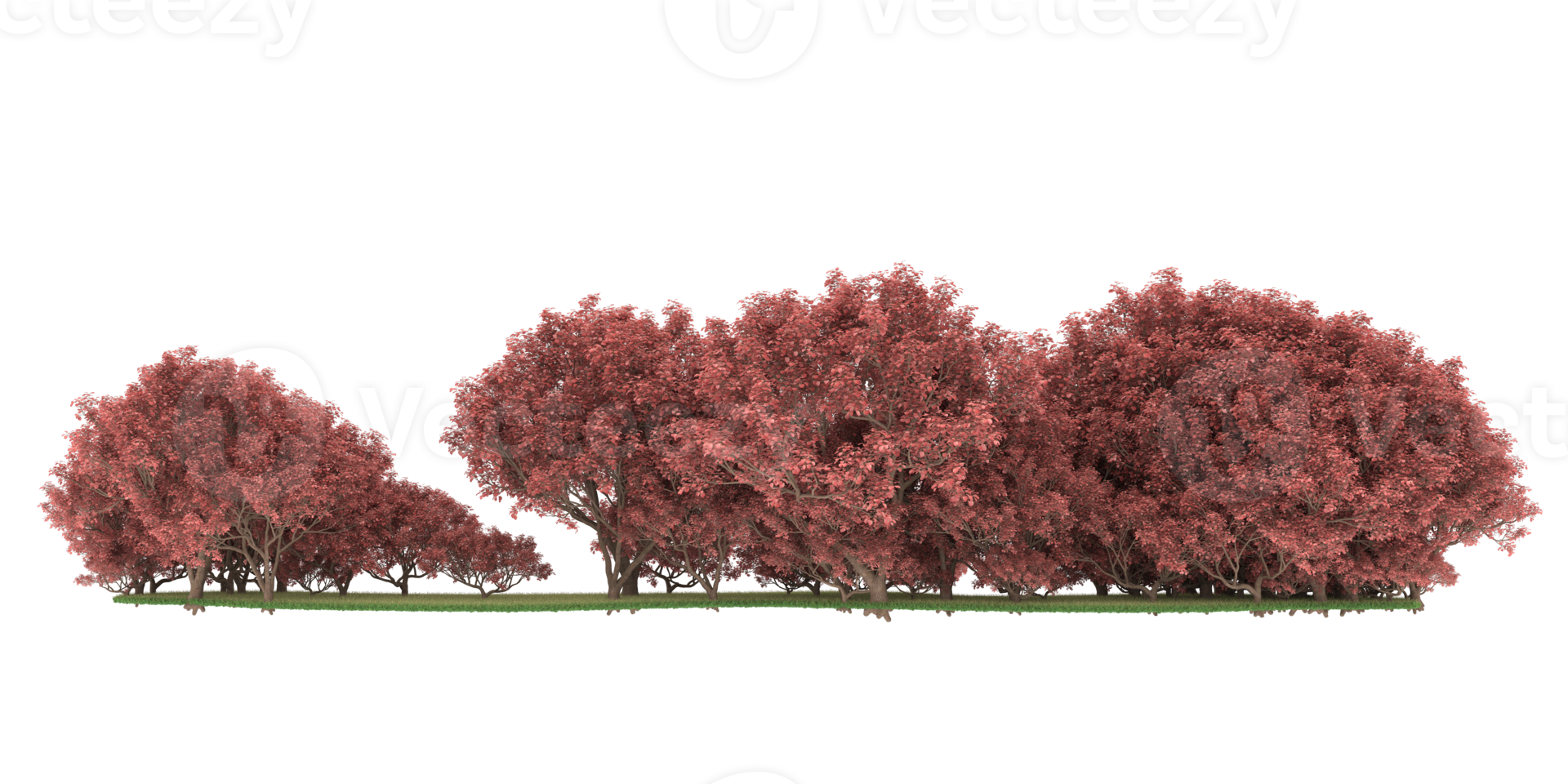 Realistic forest isolated on transparent background. 3d rendering - illustration png
