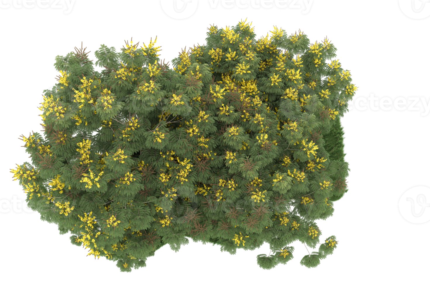 Realistic forest isolated on transparent background. 3d rendering - illustration png