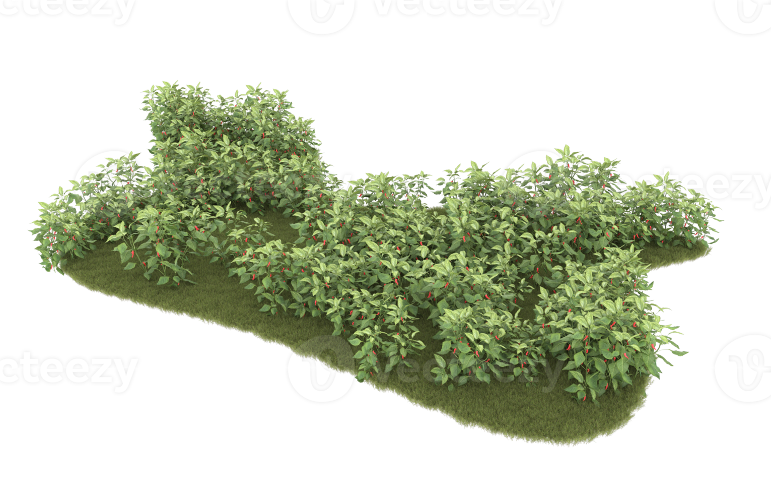Realistic foliage isolated on transparent background. 3d rendering - illustration png