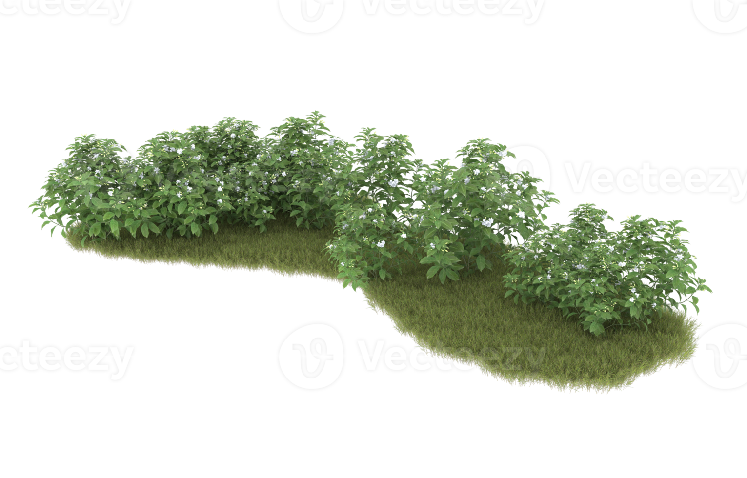 realistisk lövverk isolerat på transparent bakgrund. 3d tolkning - illustration png