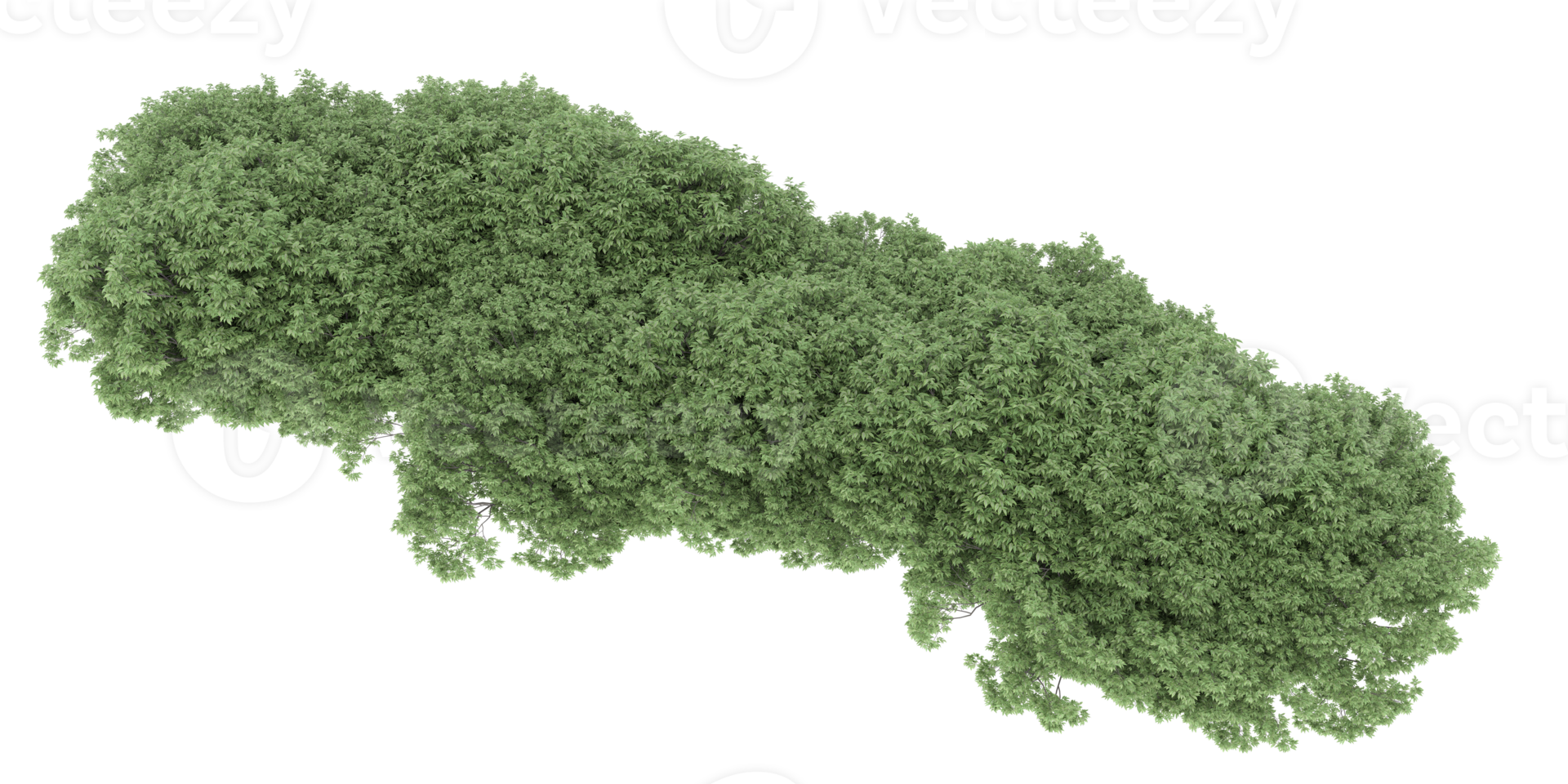 Realistic forest isolated on transparent background. 3d rendering - illustration png