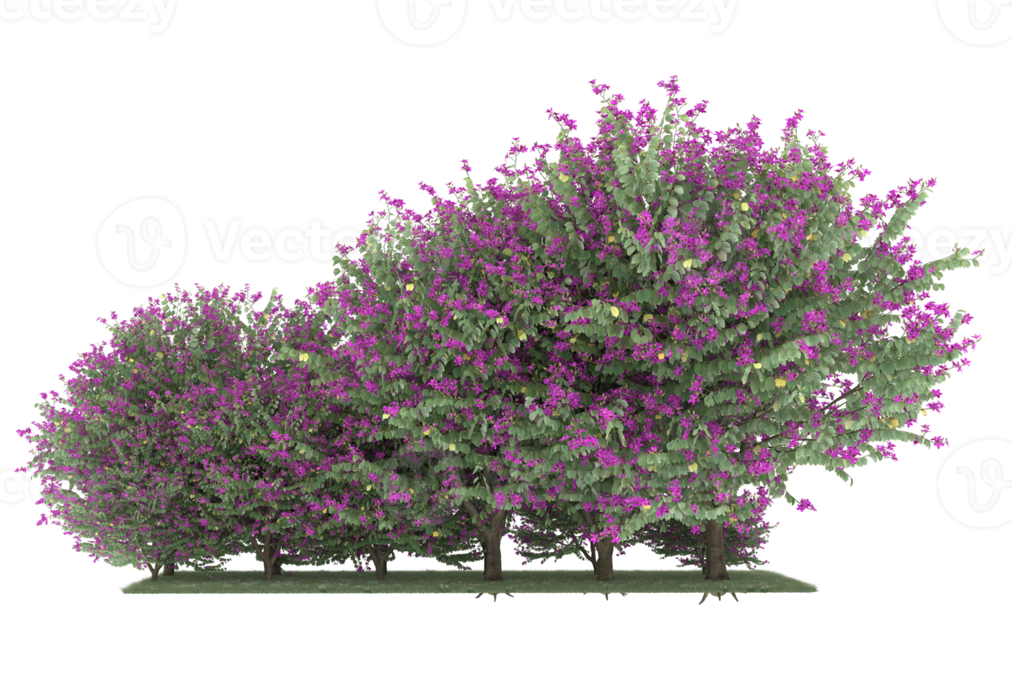 Realistic forest isolated on transparent background. 3d rendering - illustration png