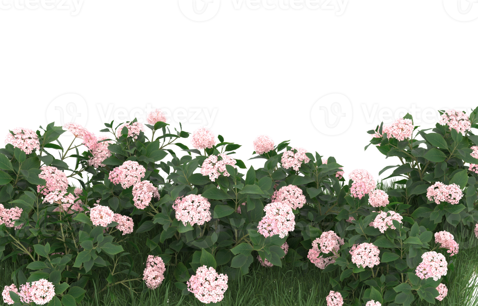 Realistic foliage isolated on transparent background. 3d rendering - illustration png