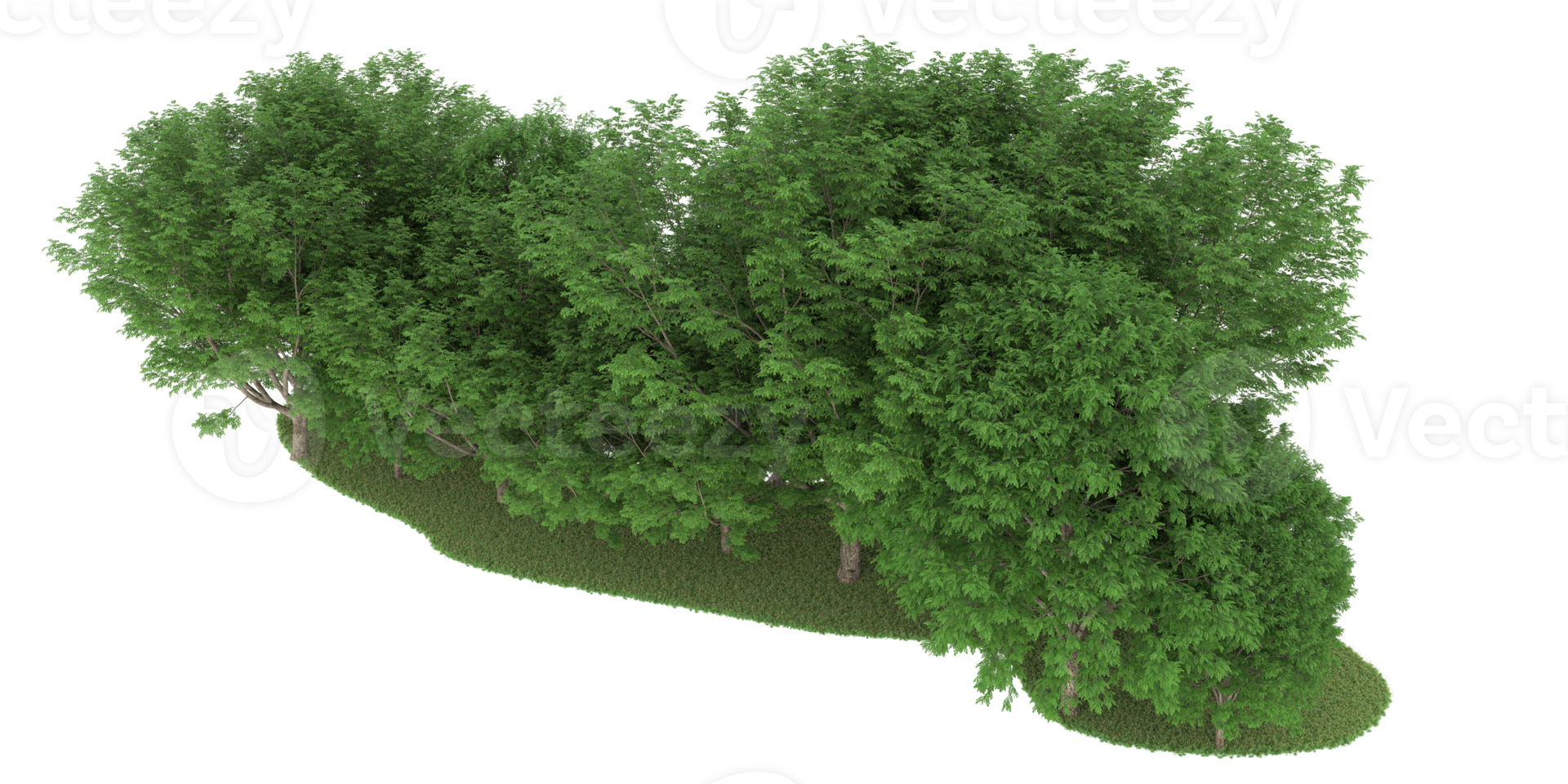 floresta realista isolada em fundo transparente. renderização 3D - ilustração png