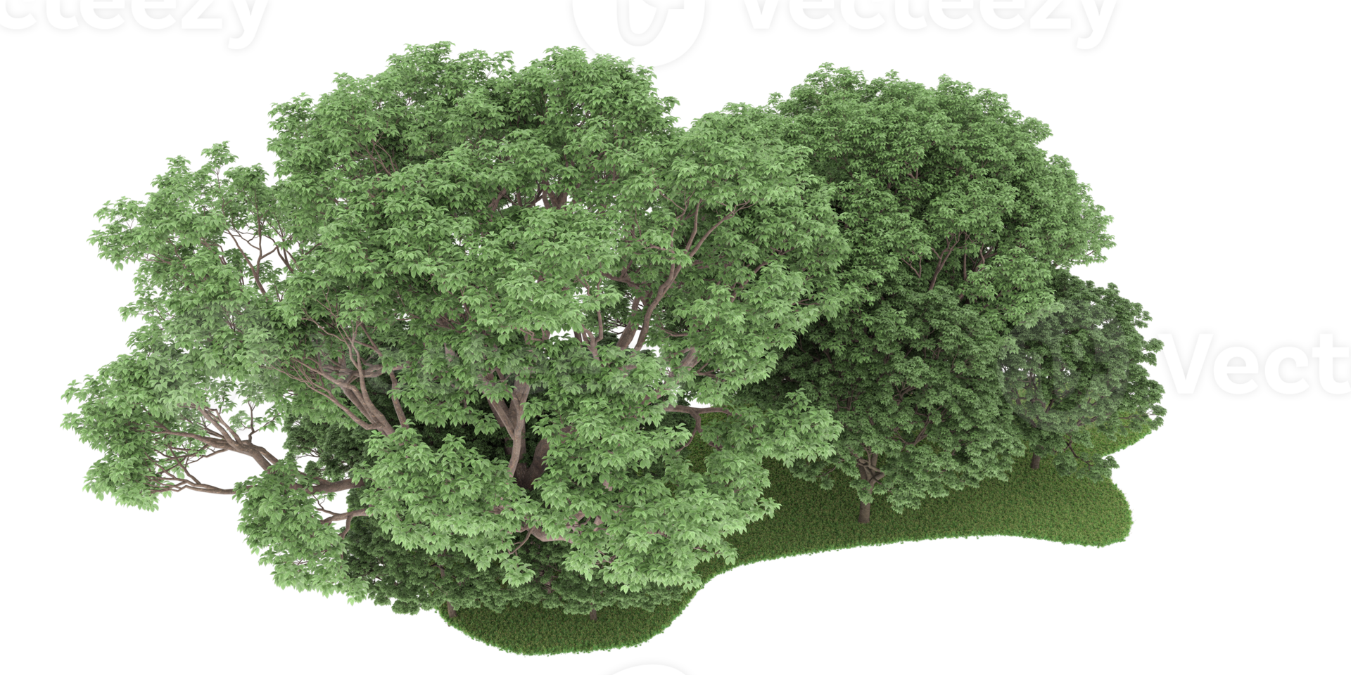 realistischer wald lokalisiert auf transparentem hintergrund. 3D-Rendering - Abbildung png