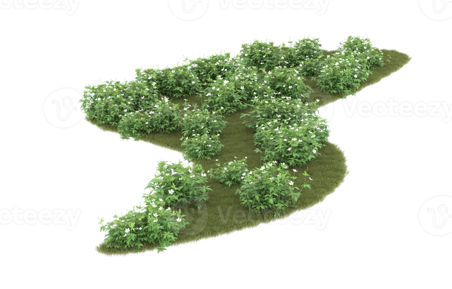 Realistic foliage isolated on transparent background. 3d rendering - illustration png