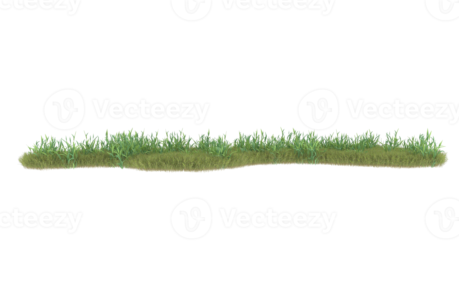 realistisk lövverk isolerat på transparent bakgrund. 3d tolkning - illustration png