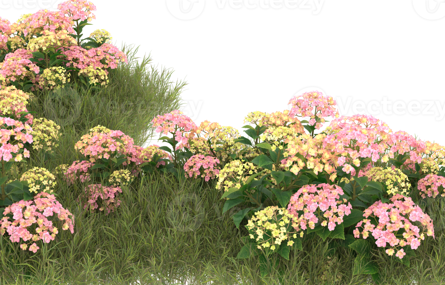 Realistic foliage isolated on transparent background. 3d rendering - illustration png