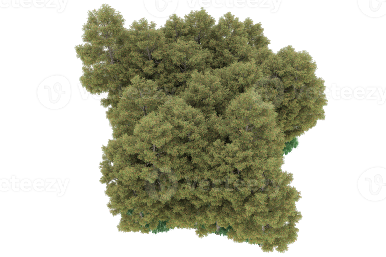 Realistic forest isolated on transparent background. 3d rendering - illustration png