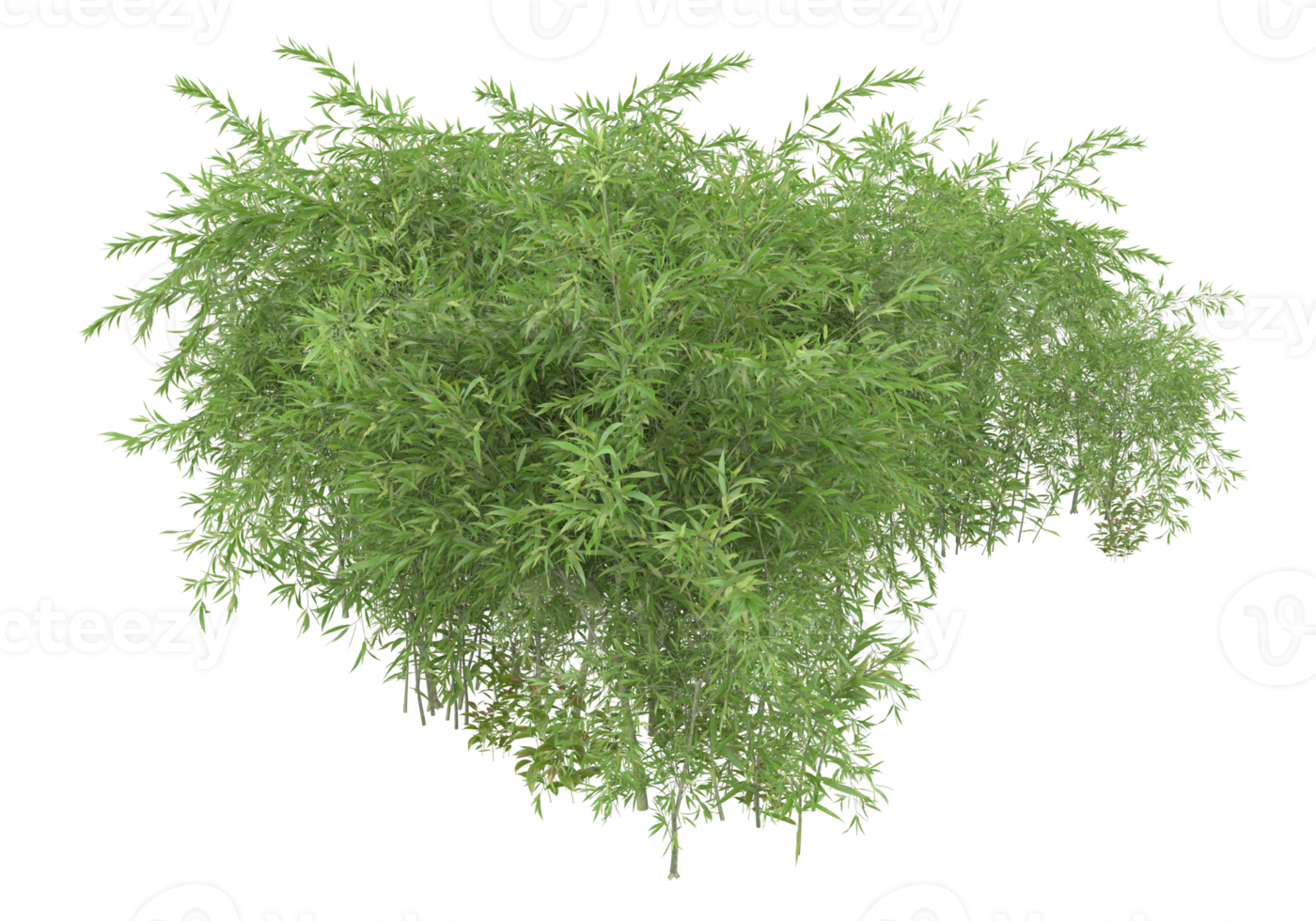 Realistic foliage isolated on transparent background. 3d rendering - illustration png