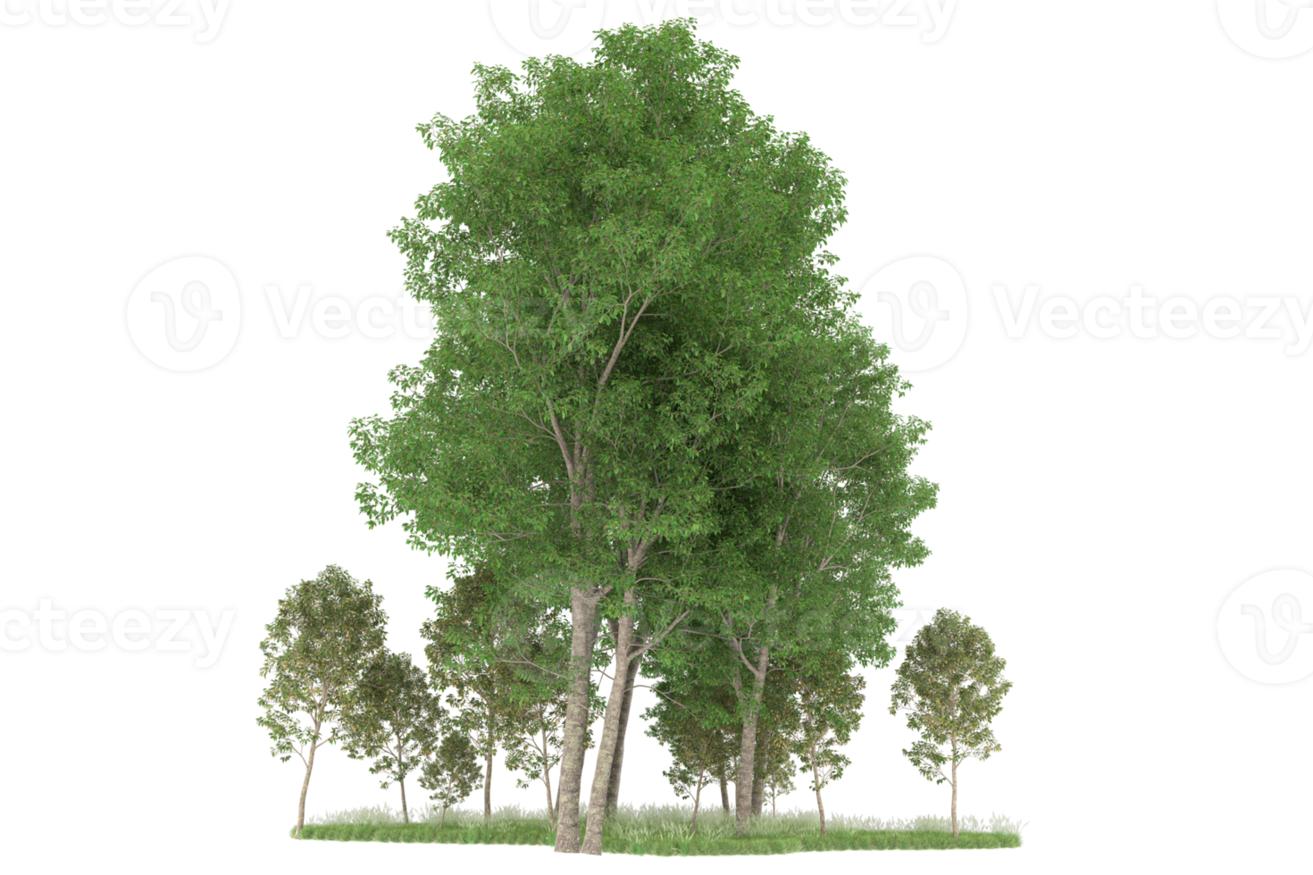Realistic forest isolated on transparent background. 3d rendering - illustration png