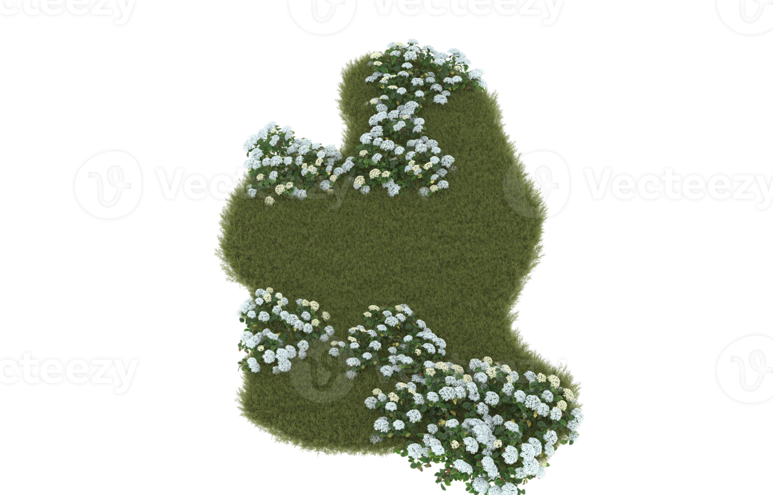 Realistic foliage isolated on transparent background. 3d rendering - illustration png
