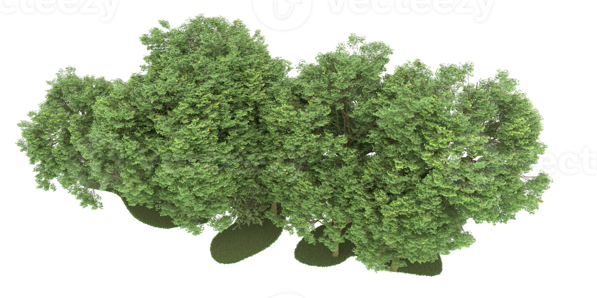 Realistic forest isolated on transparent background. 3d rendering - illustration png
