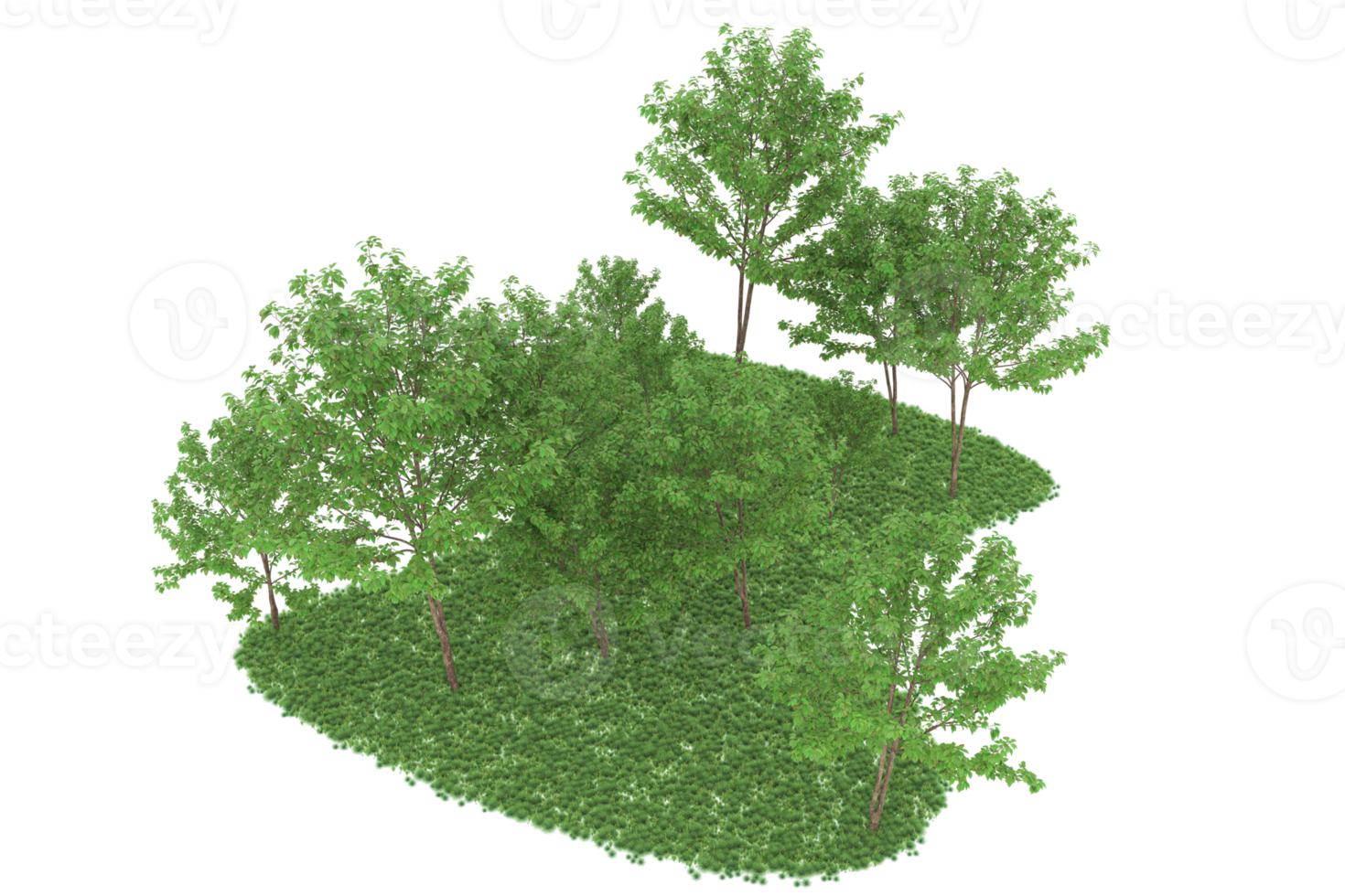 Realistic forest isolated on transparent background. 3d rendering - illustration png