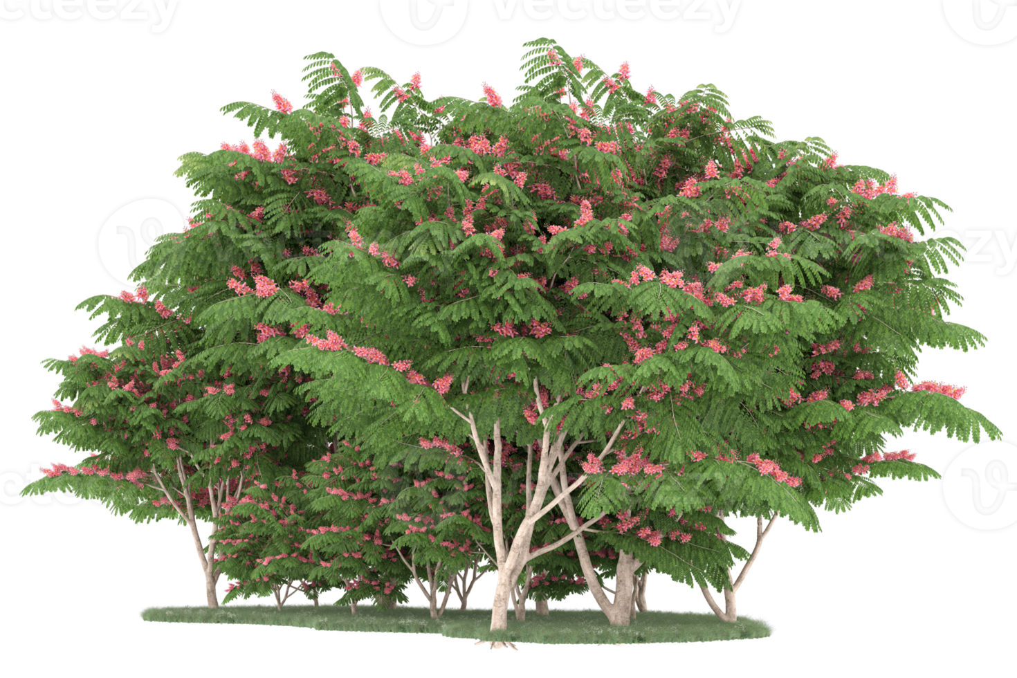 Realistic forest isolated on transparent background. 3d rendering - illustration png