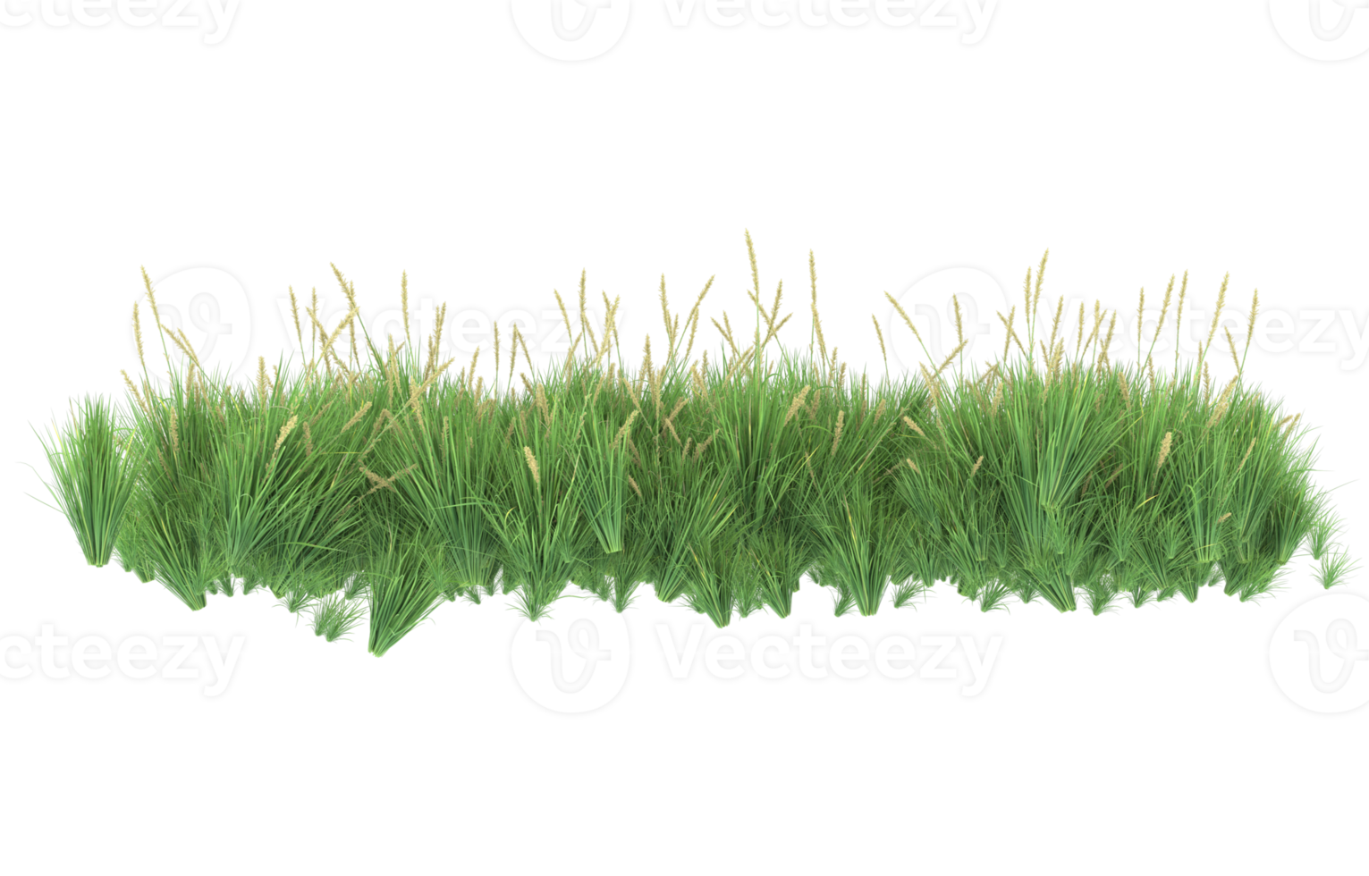 Realistic foliage isolated on transparent background. 3d rendering - illustration png