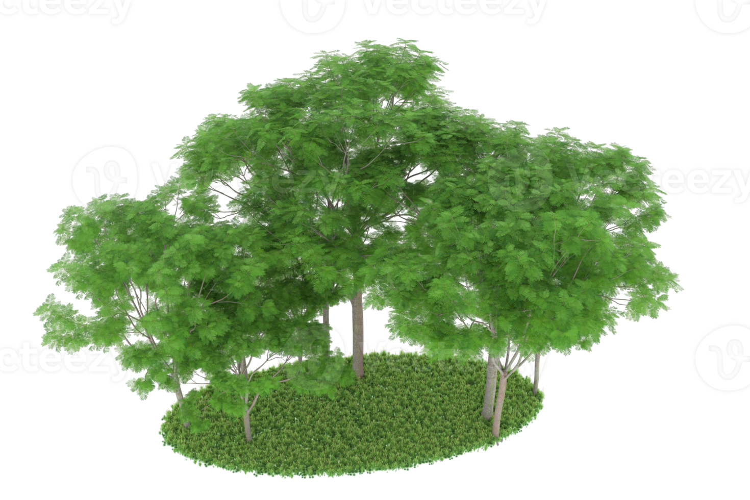 Realistic forest isolated on transparent background. 3d rendering - illustration png