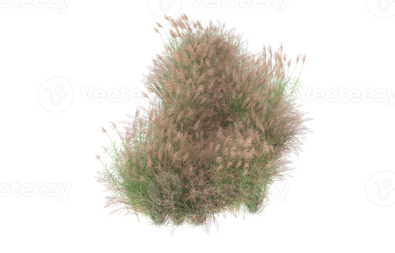 Realistic foliage isolated on transparent background. 3d rendering - illustration png
