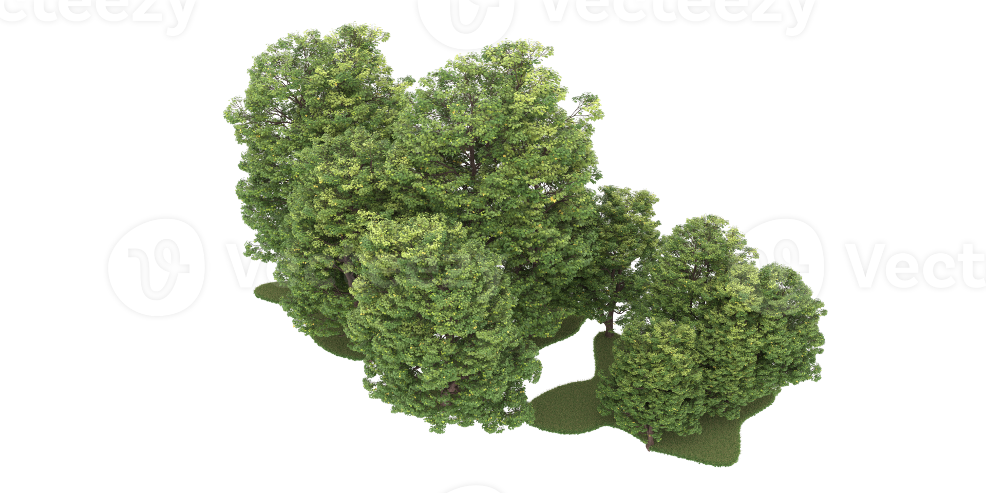 Realistic forest isolated on transparent background. 3d rendering - illustration png