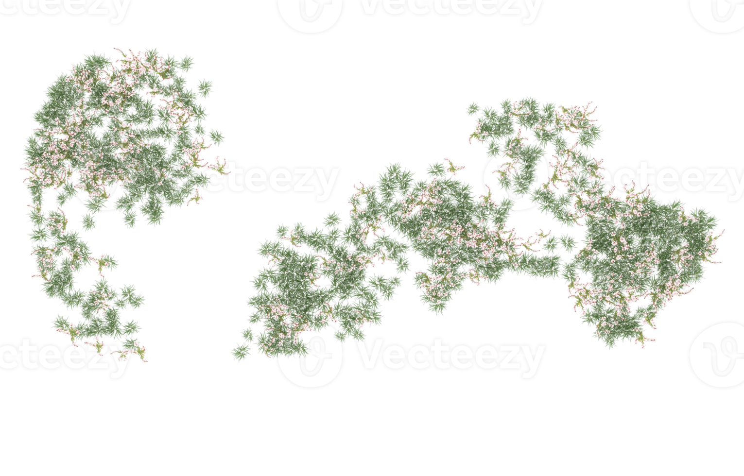 Realistic foliage isolated on transparent background. 3d rendering - illustration png
