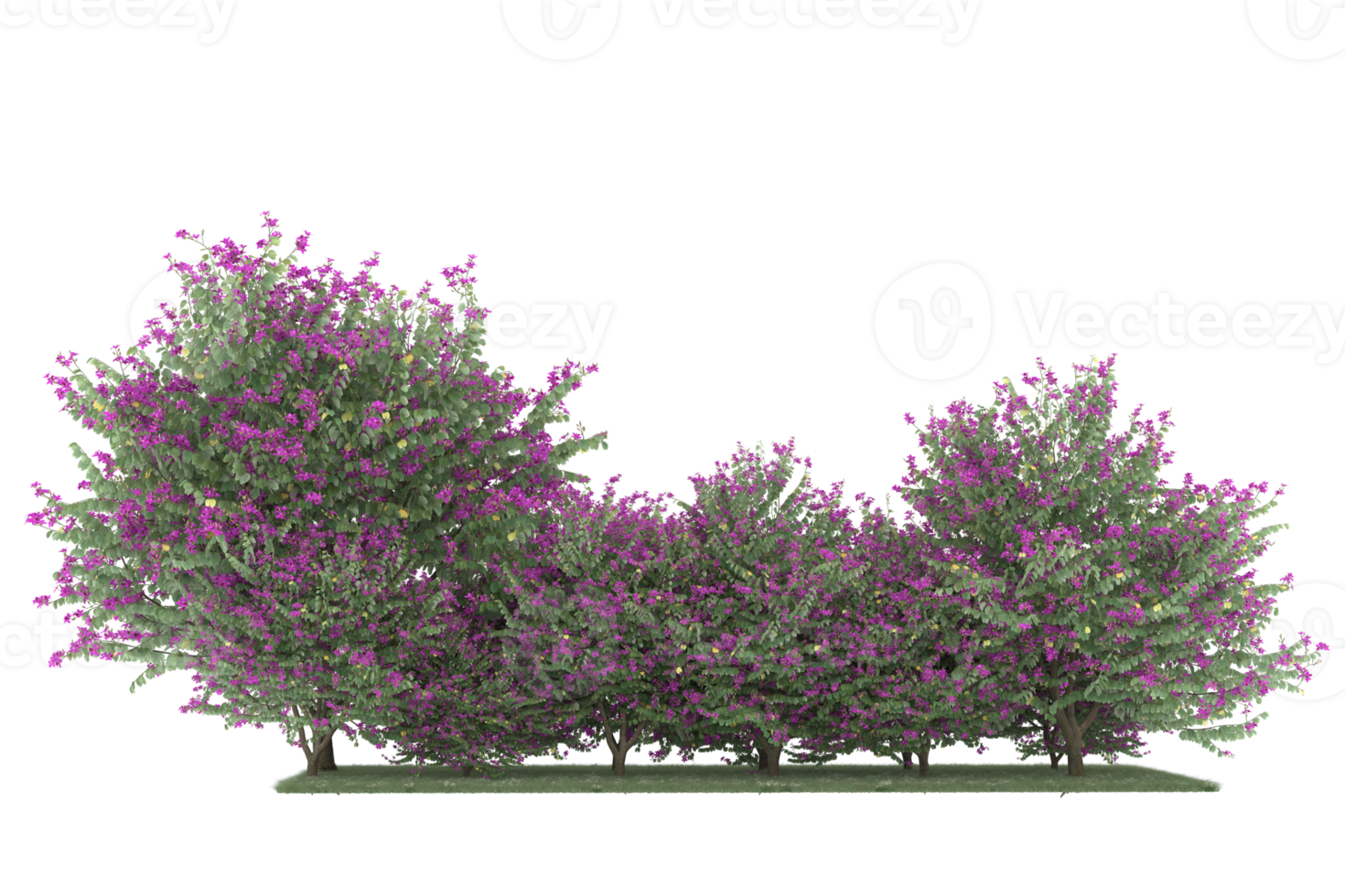 forêt réaliste isolée sur fond transparent. rendu 3d - illustration png