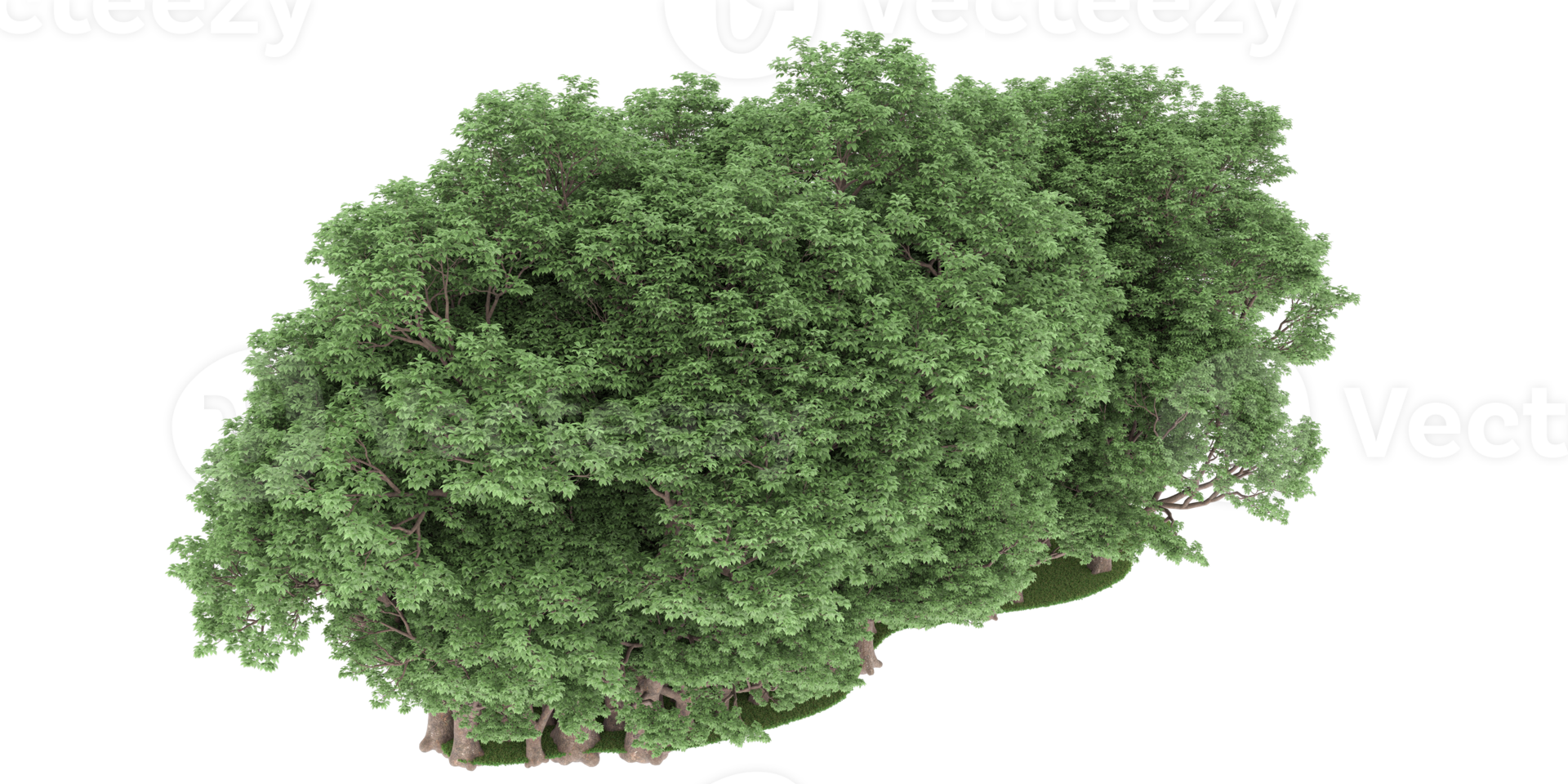 Realistic forest isolated on transparent background. 3d rendering - illustration png