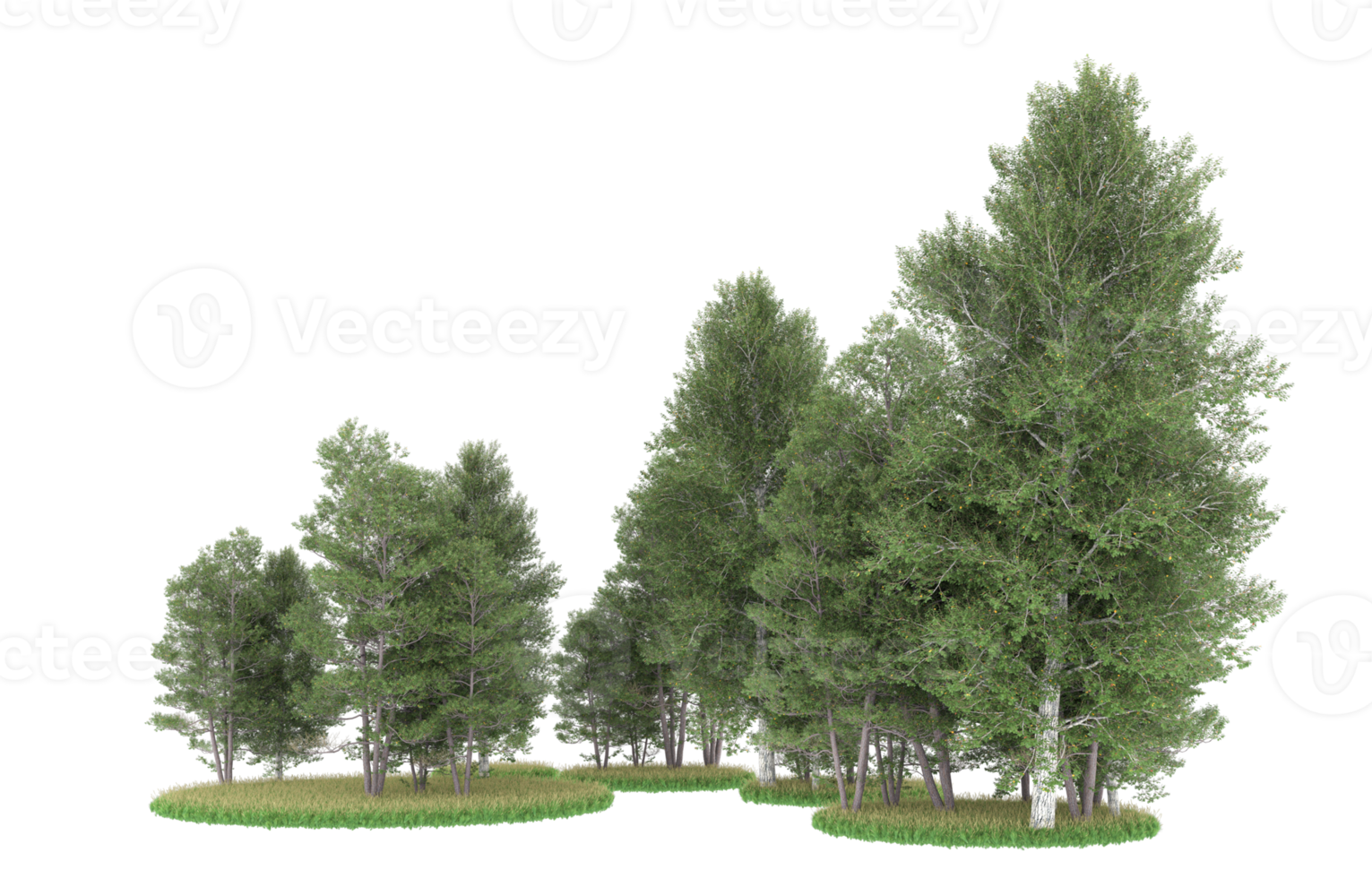 Realistic foliage isolated on transparent background. 3d rendering - illustration png