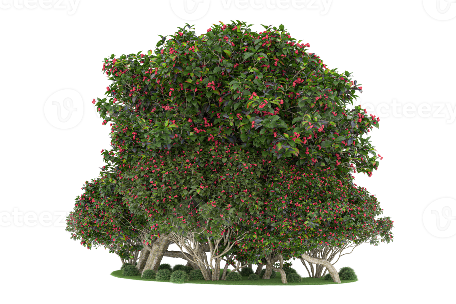 Realistic forest isolated on transparent background. 3d rendering - illustration png