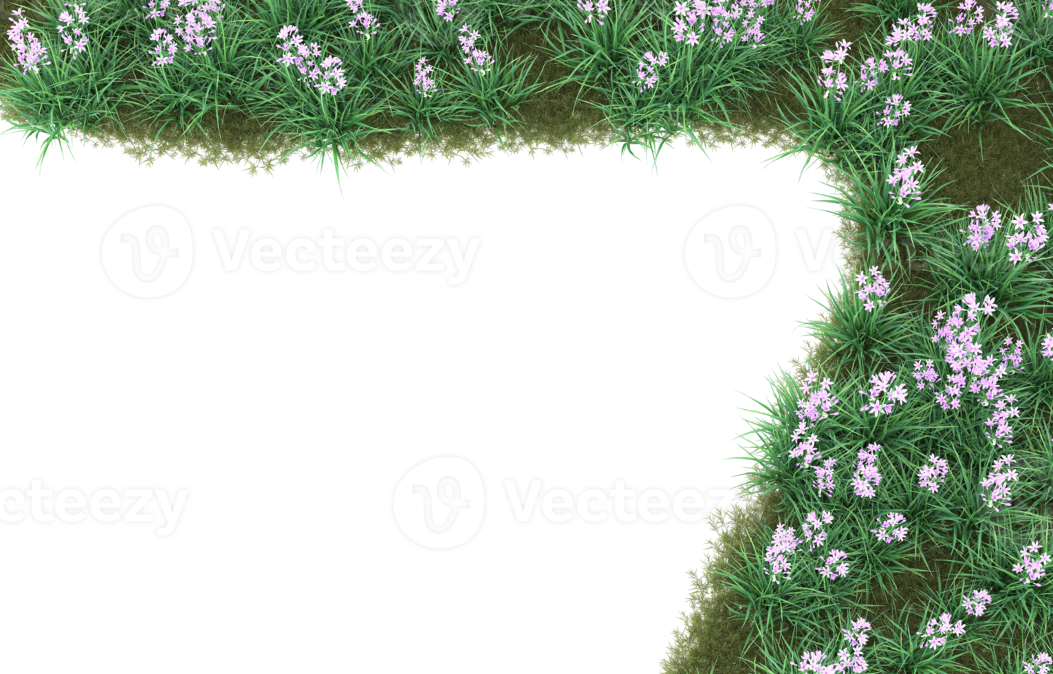 Realistic foliage isolated on transparent background. 3d rendering - illustration png